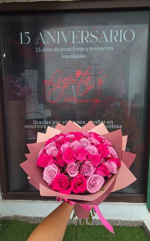 Articulo 6557