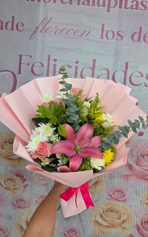 Articulo 8027