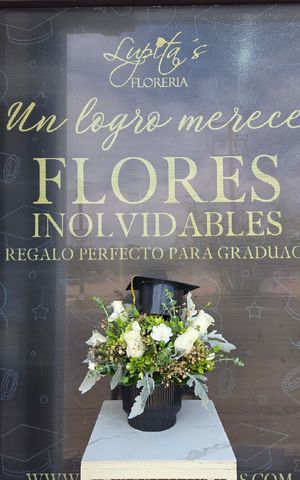 Articulo 8288