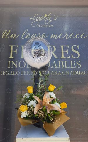 Articulo 8298