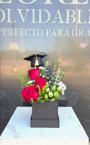 Articulo 8301