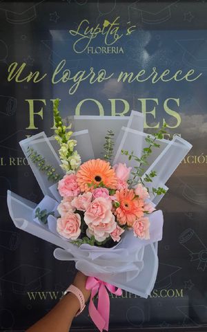Articulo 8492