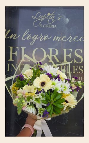Articulo 8542