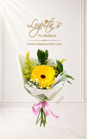 Articulo 8633
